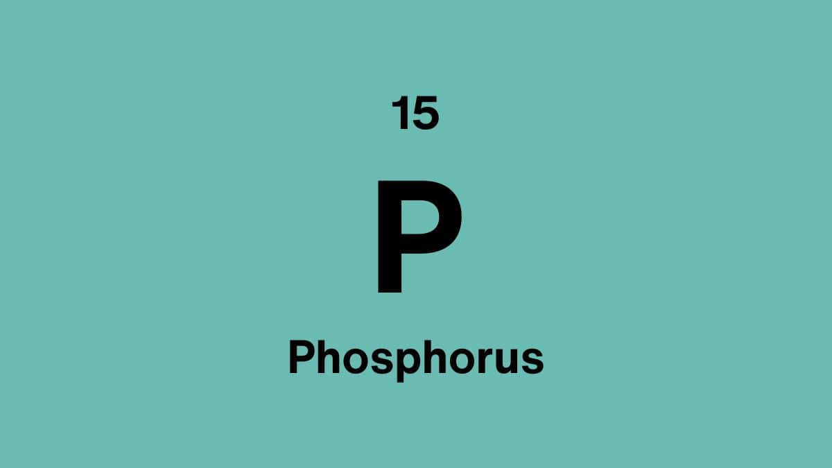 phosphorus element